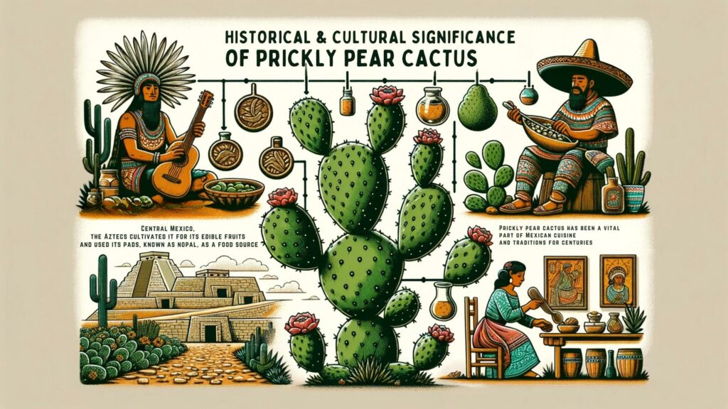 History and Cultural Significance of Prickly Pear Cactus